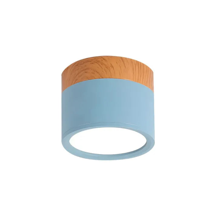 Hallway LED Ceiling Lights | Flush Mount Cylindrical Fixture
