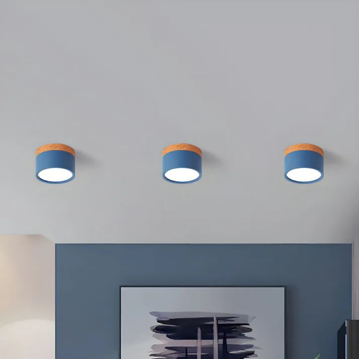 Hallway LED Ceiling Lights | Flush Mount Cylindrical Fixture