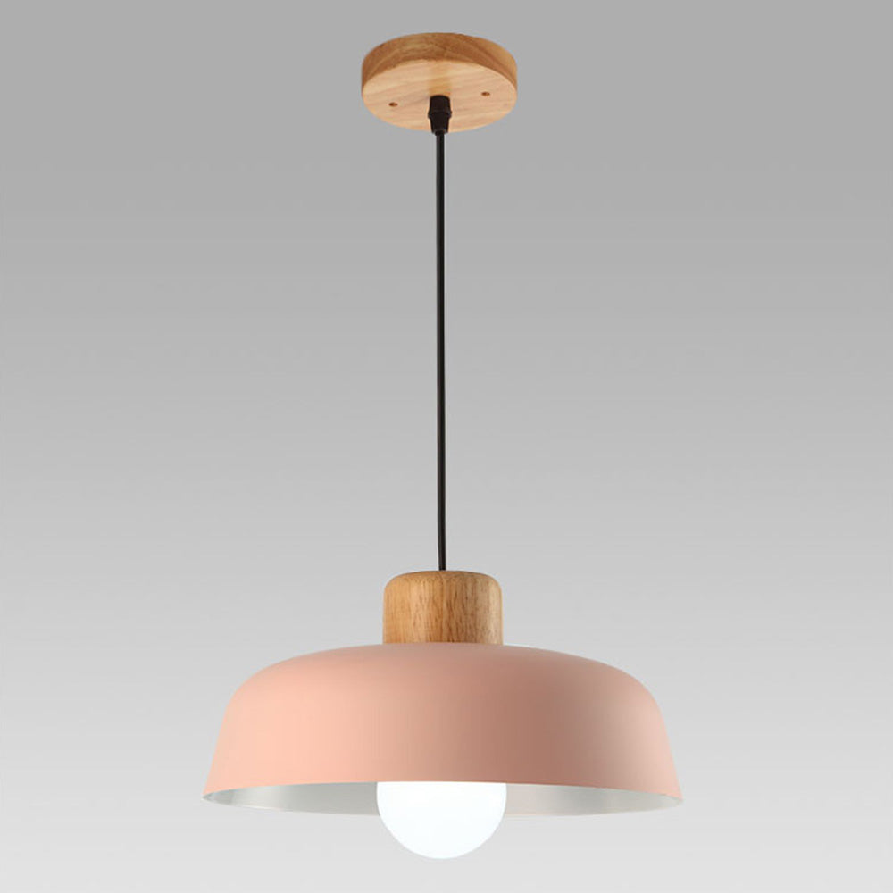 Pendant Light | Modern Dome Design