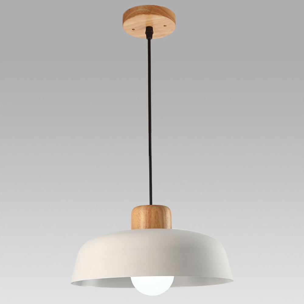 Pendant Light | Modern Dome Design