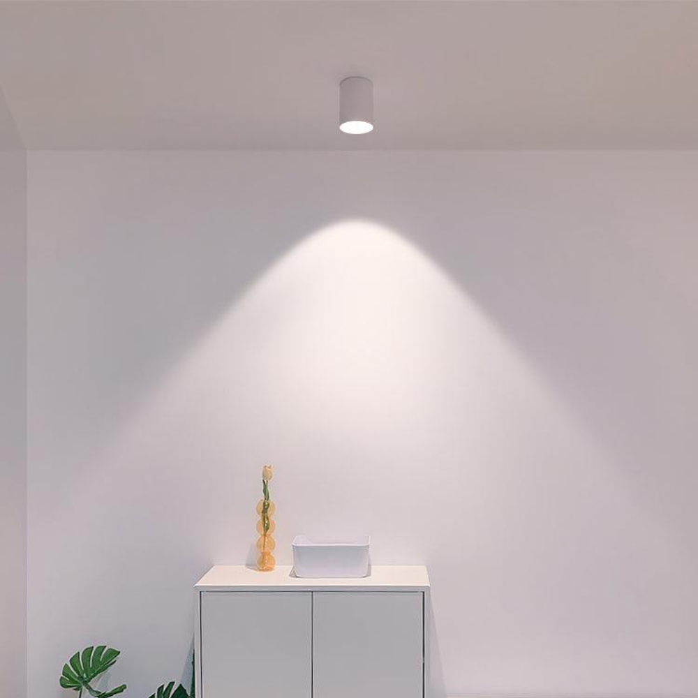 Ceiling Light | Cylinder Surface Fixture