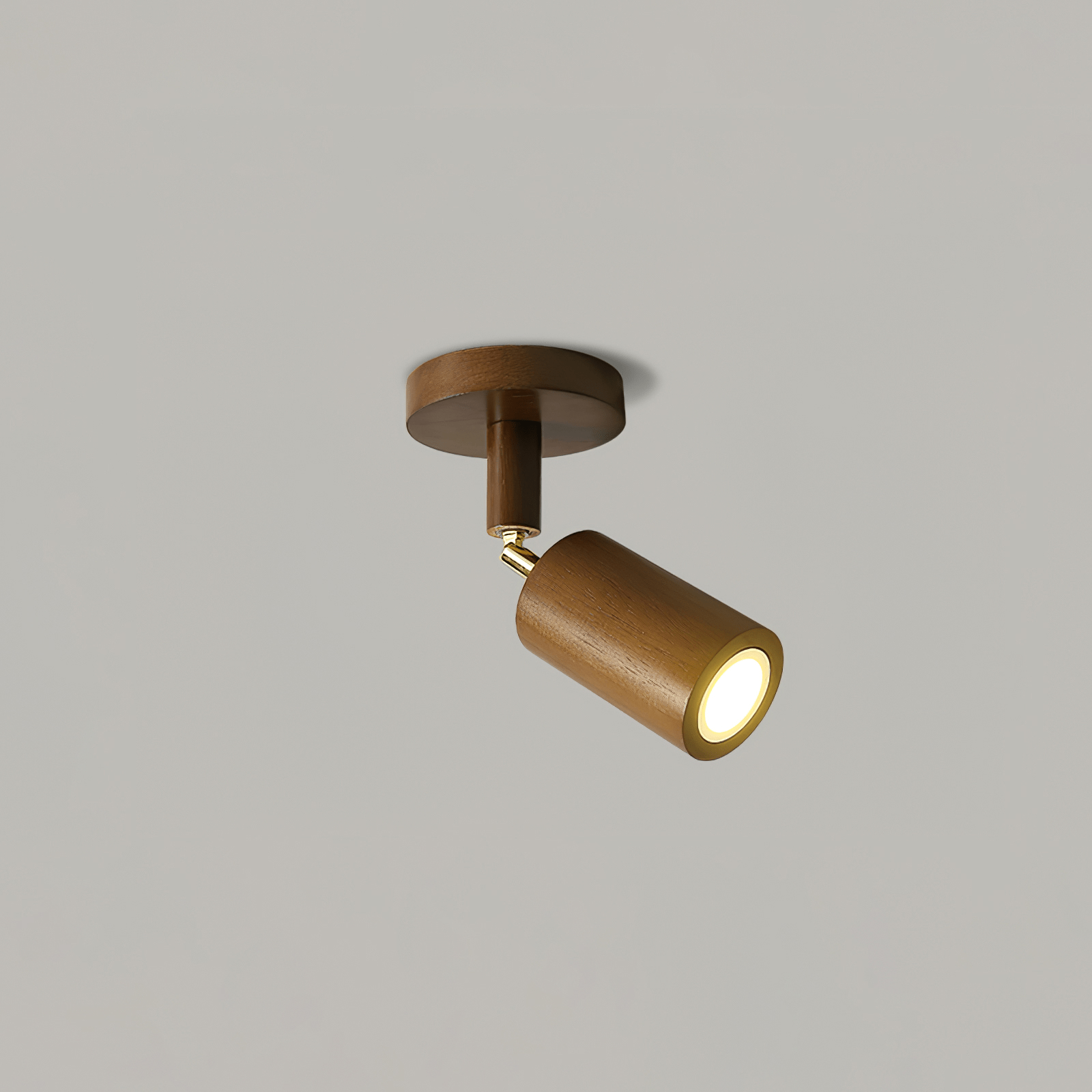 Ceiling Light | Adjustable Multi-Spot Lamp