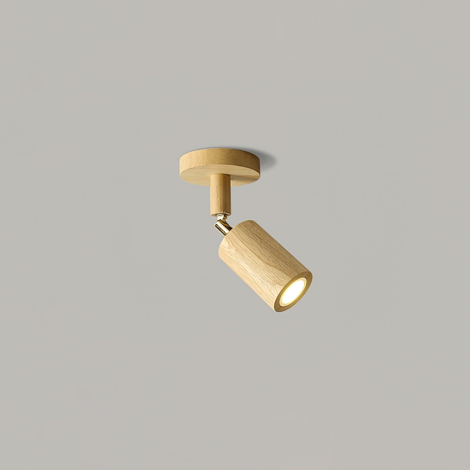 Ceiling Light | Adjustable Multi-Spot Lamp