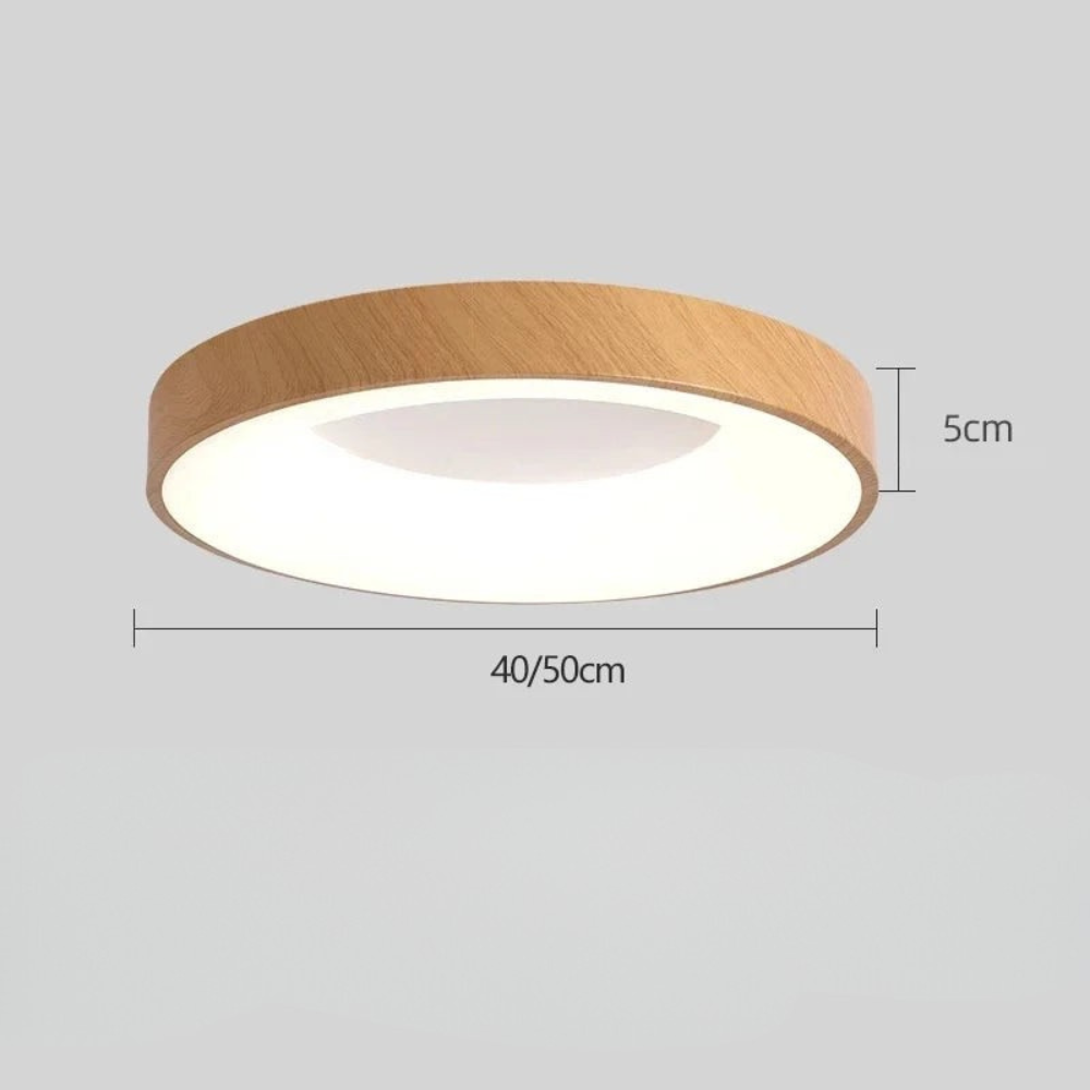 LED Ceiling Light | Nordic Round Fixture for Living Rooms and Bedrooms