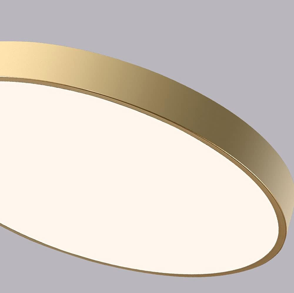Living Room Modern Ceiling Light | Circular LED