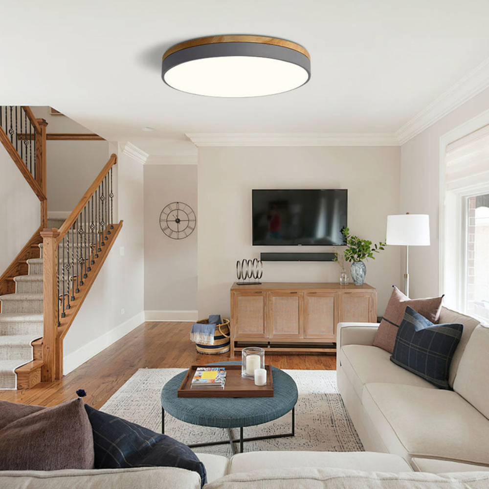 Flush-Mount Ceiling Light | Round Disc Design for Modern Interiors