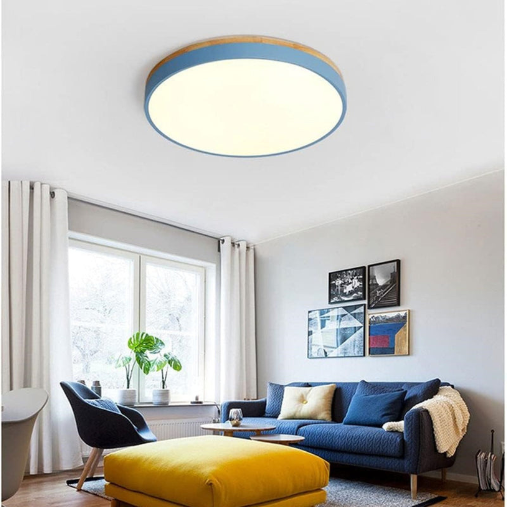 Flush-Mount Ceiling Light | Round Disc Design for Modern Interiors