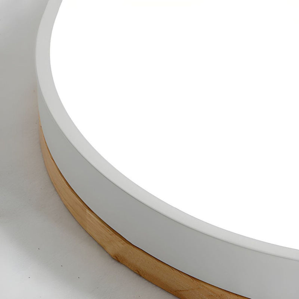 Flush-Mount Ceiling Light | Round Disc Design for Modern Interiors