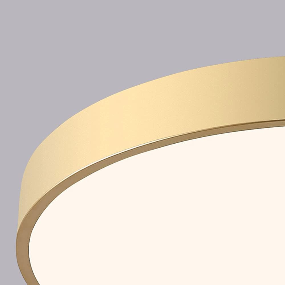 Living Room Modern Ceiling Light | Circular LED