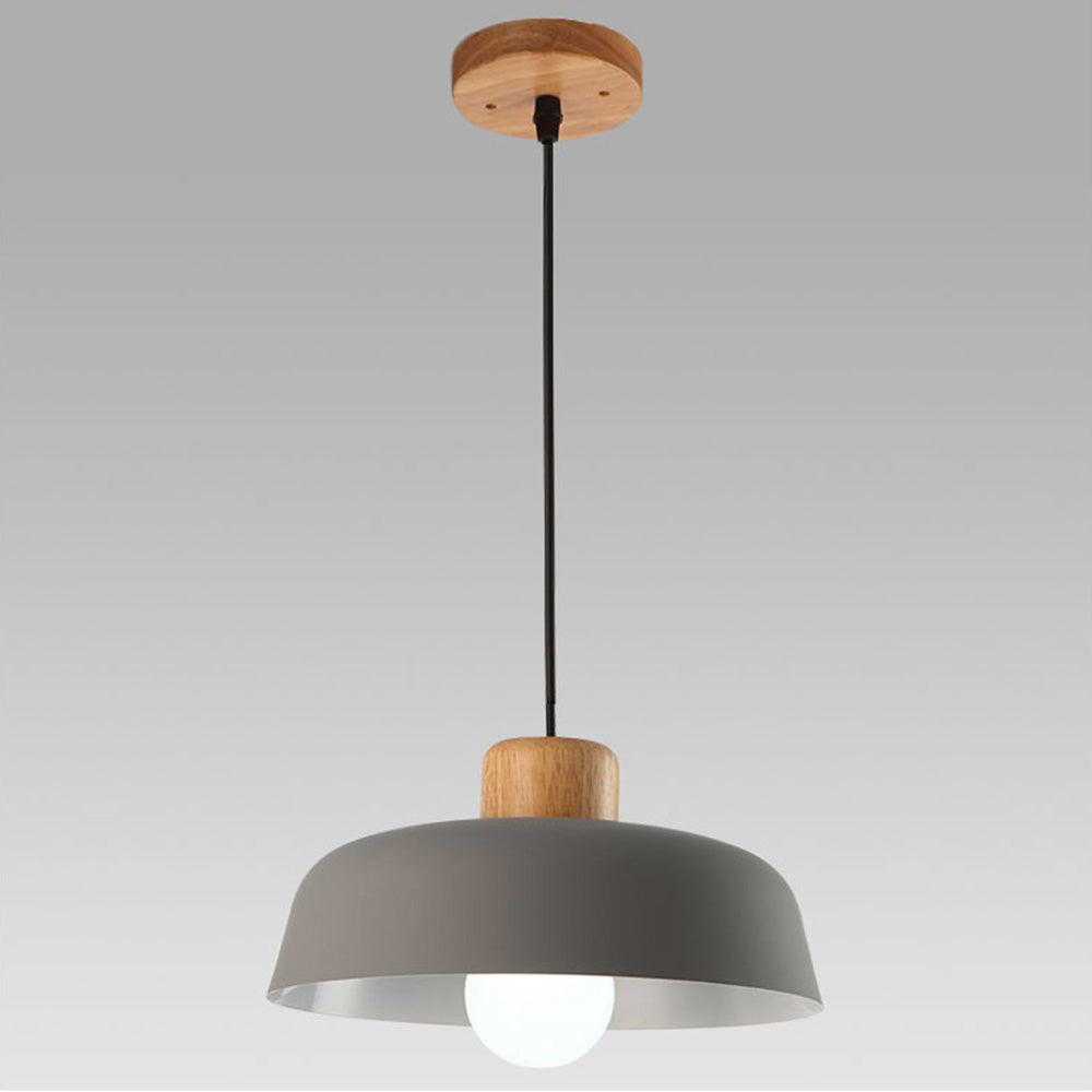 Pendant Light | Modern Dome Design