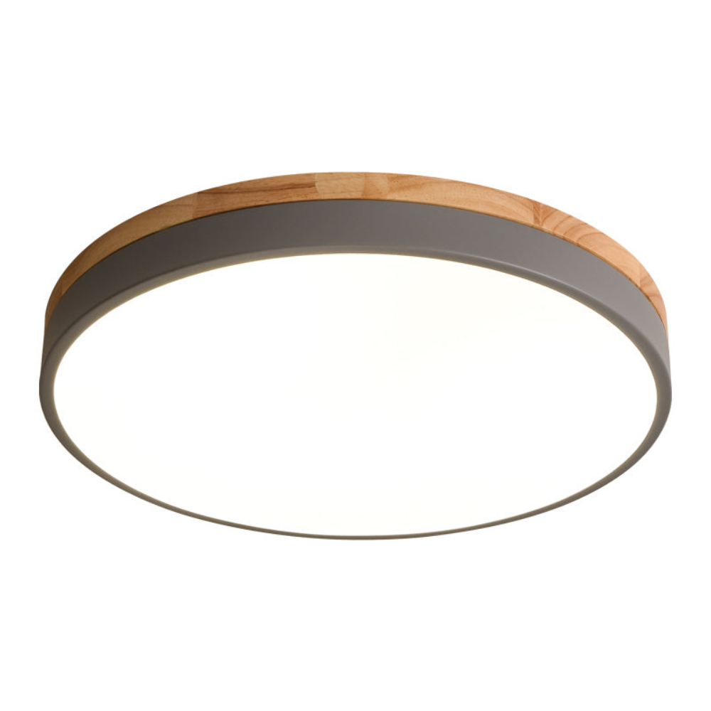 Flush-Mount Ceiling Light | Round Disc Design for Modern Interiors