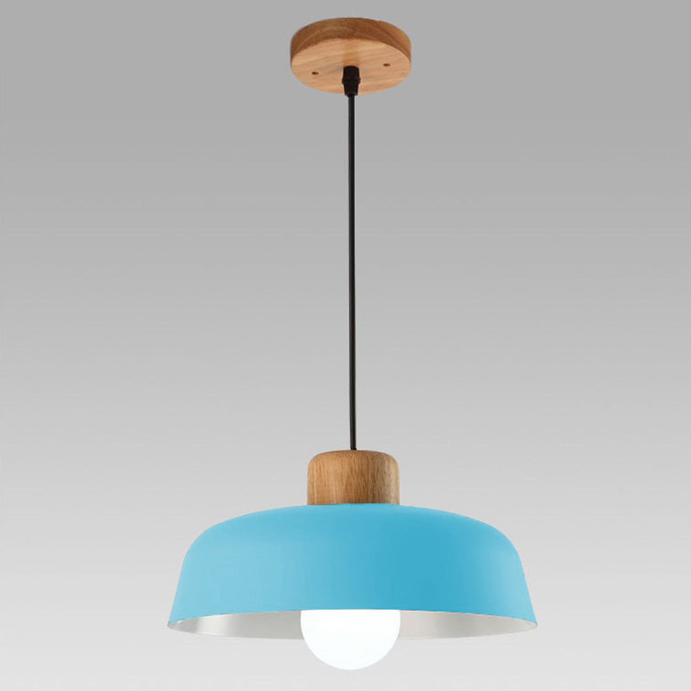 Pendant Light | Modern Dome Design