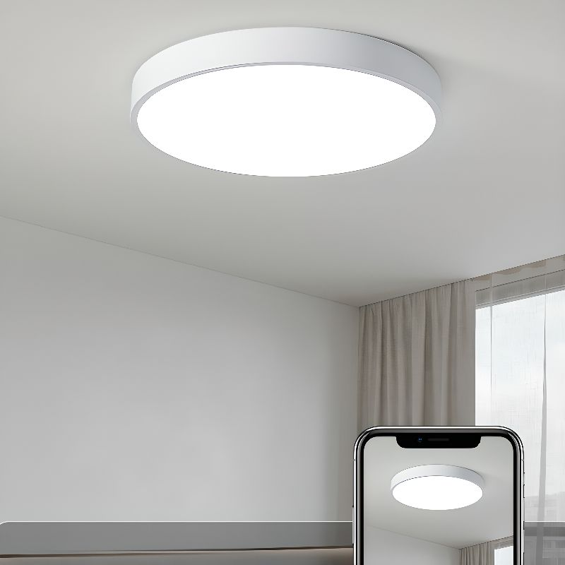 Living Room Modern Ceiling Light | Circular LED
