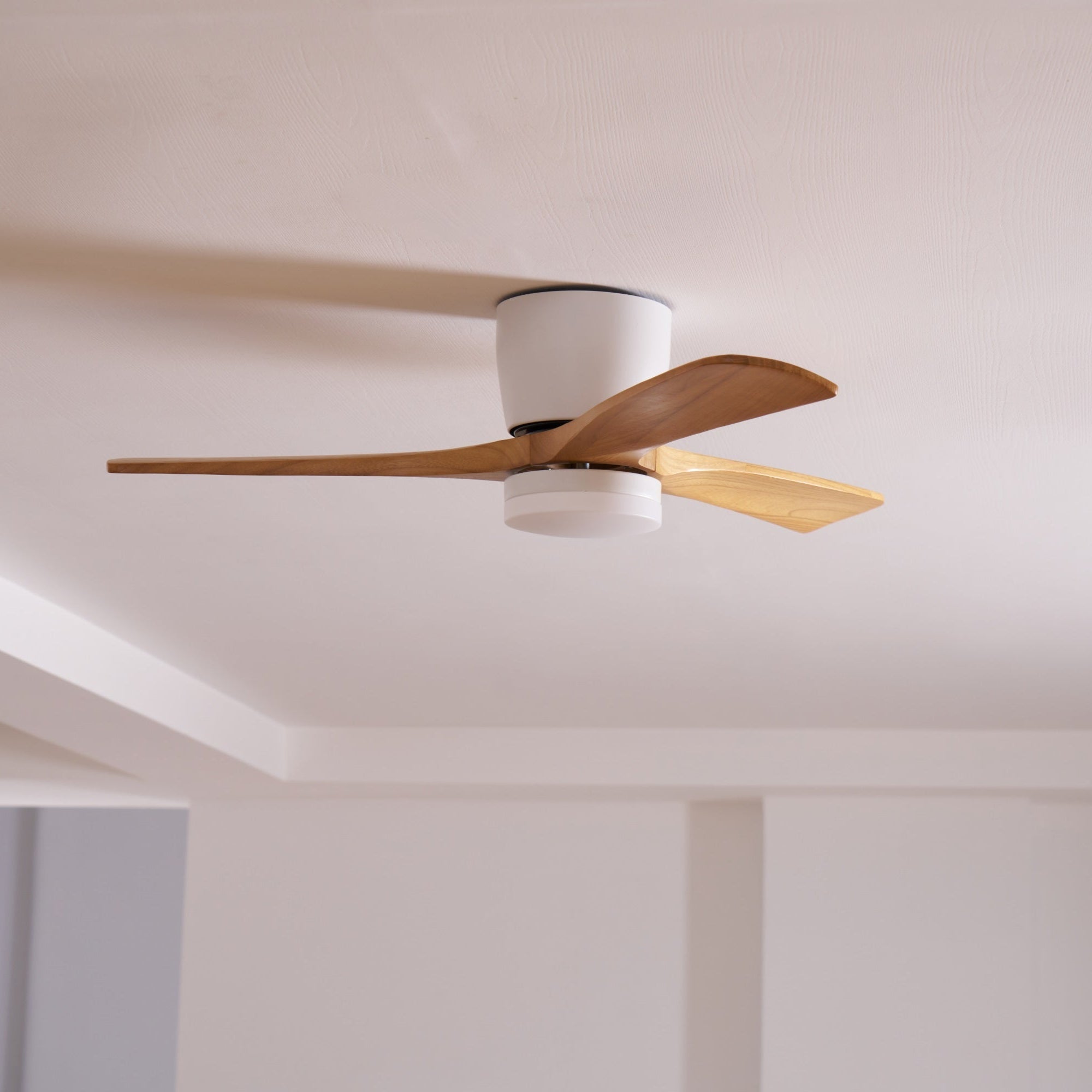 Ceiling Fan with LED Light | Remote Control Fixture