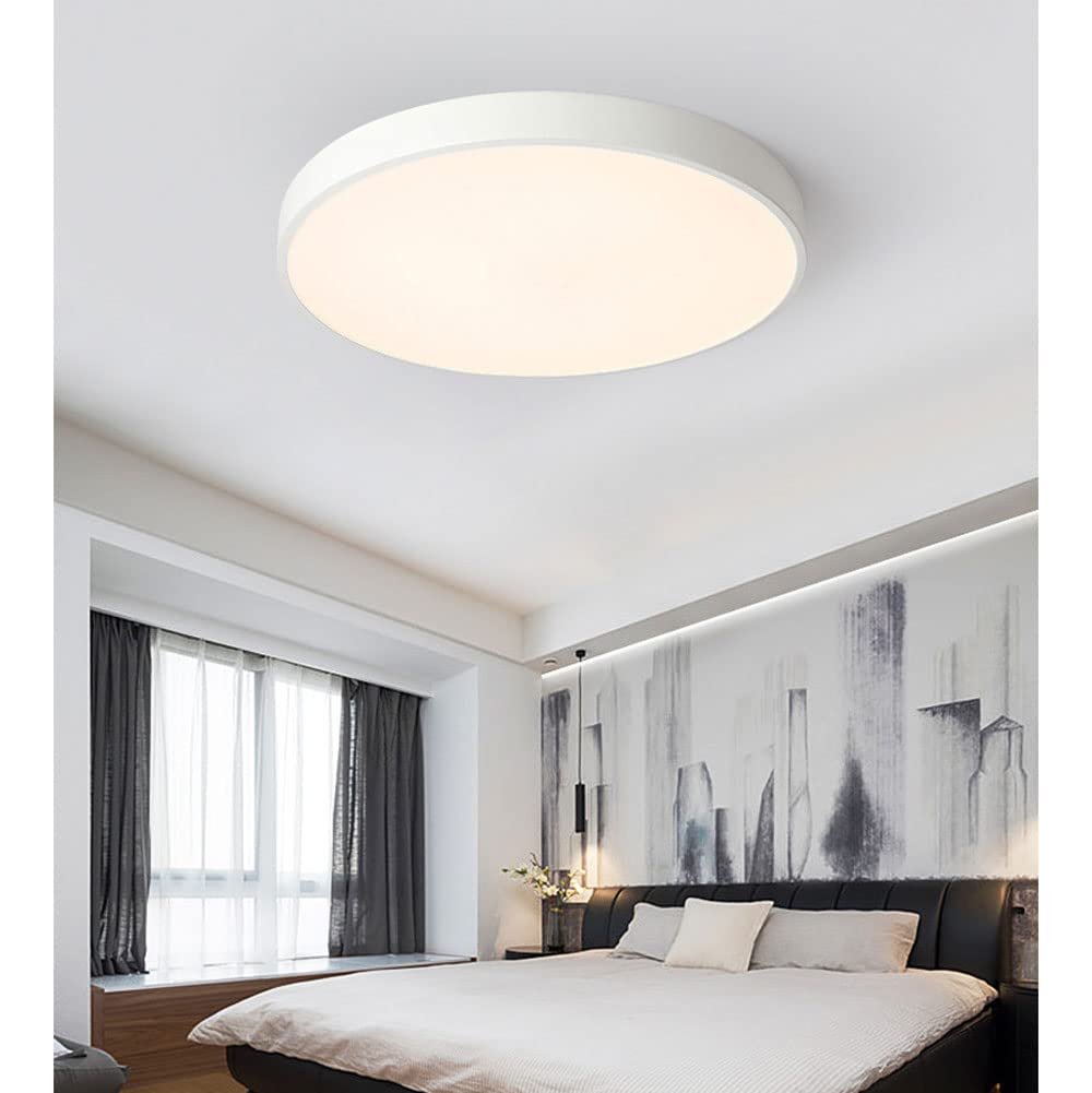 Living Room Modern Ceiling Light | Circular LED
