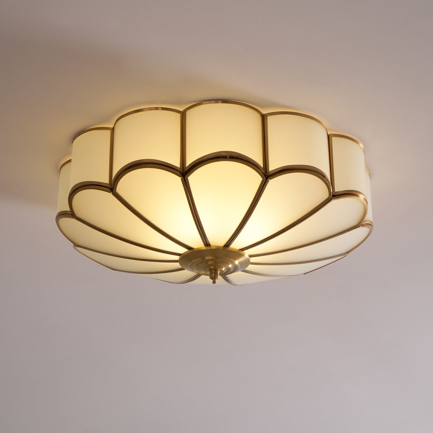 Ceiling Light | Ceiling Mounted Lamp