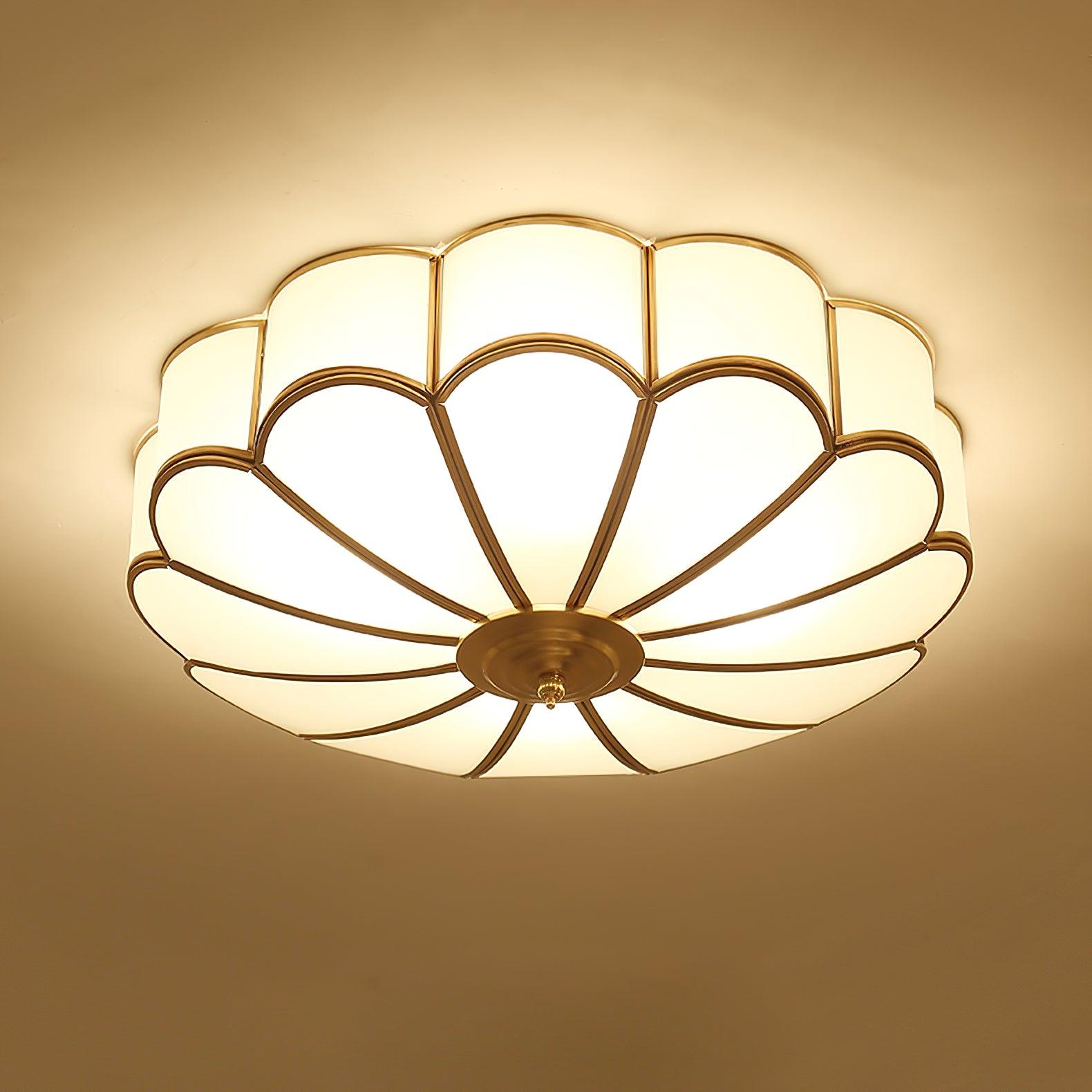 Ceiling Light | Ceiling Mounted Lamp