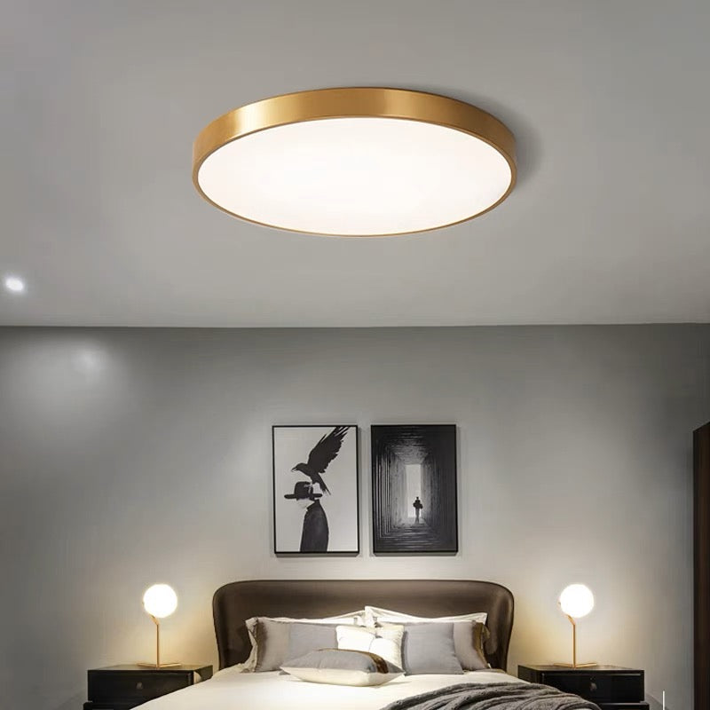 Living Room Modern Ceiling Light | Circular LED