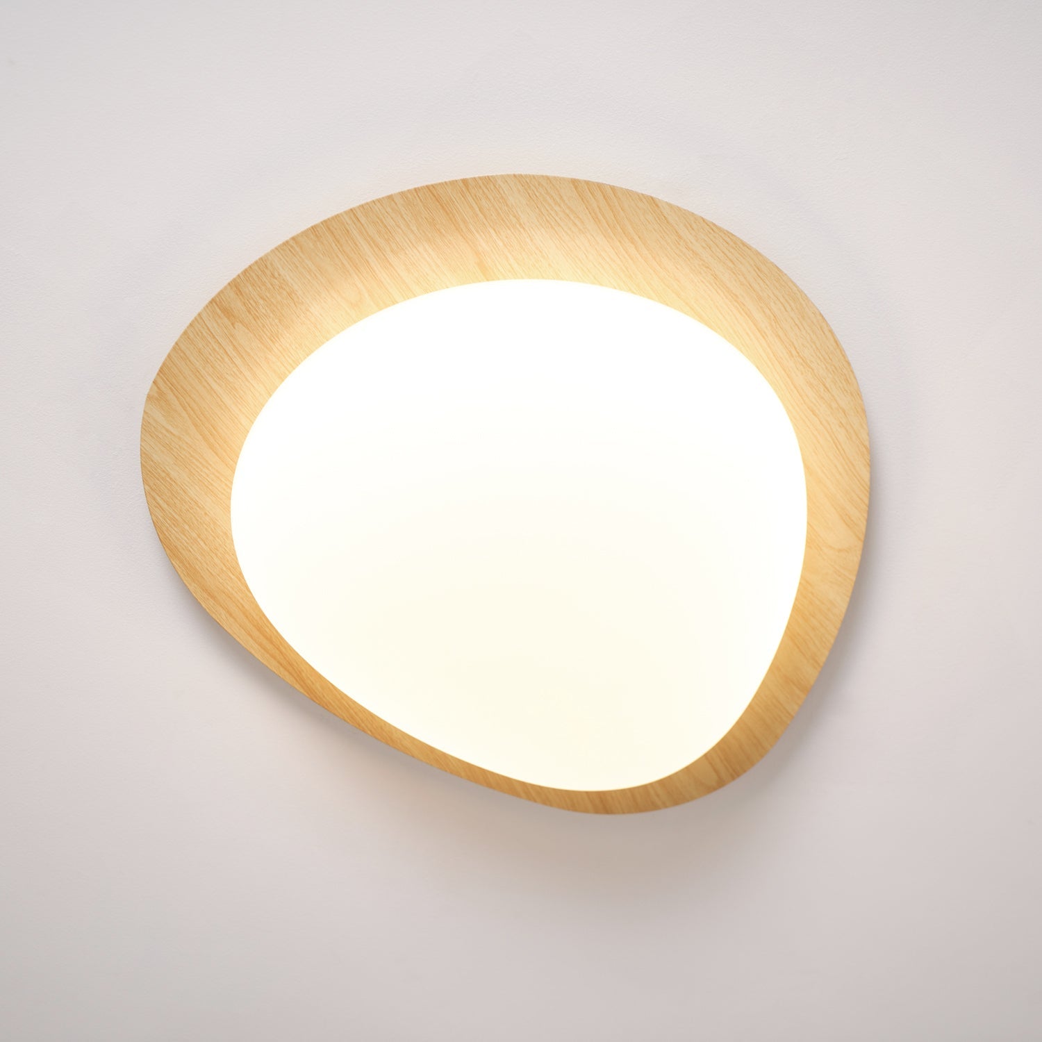 Ceiling Light | Oval Ceiling Fixture