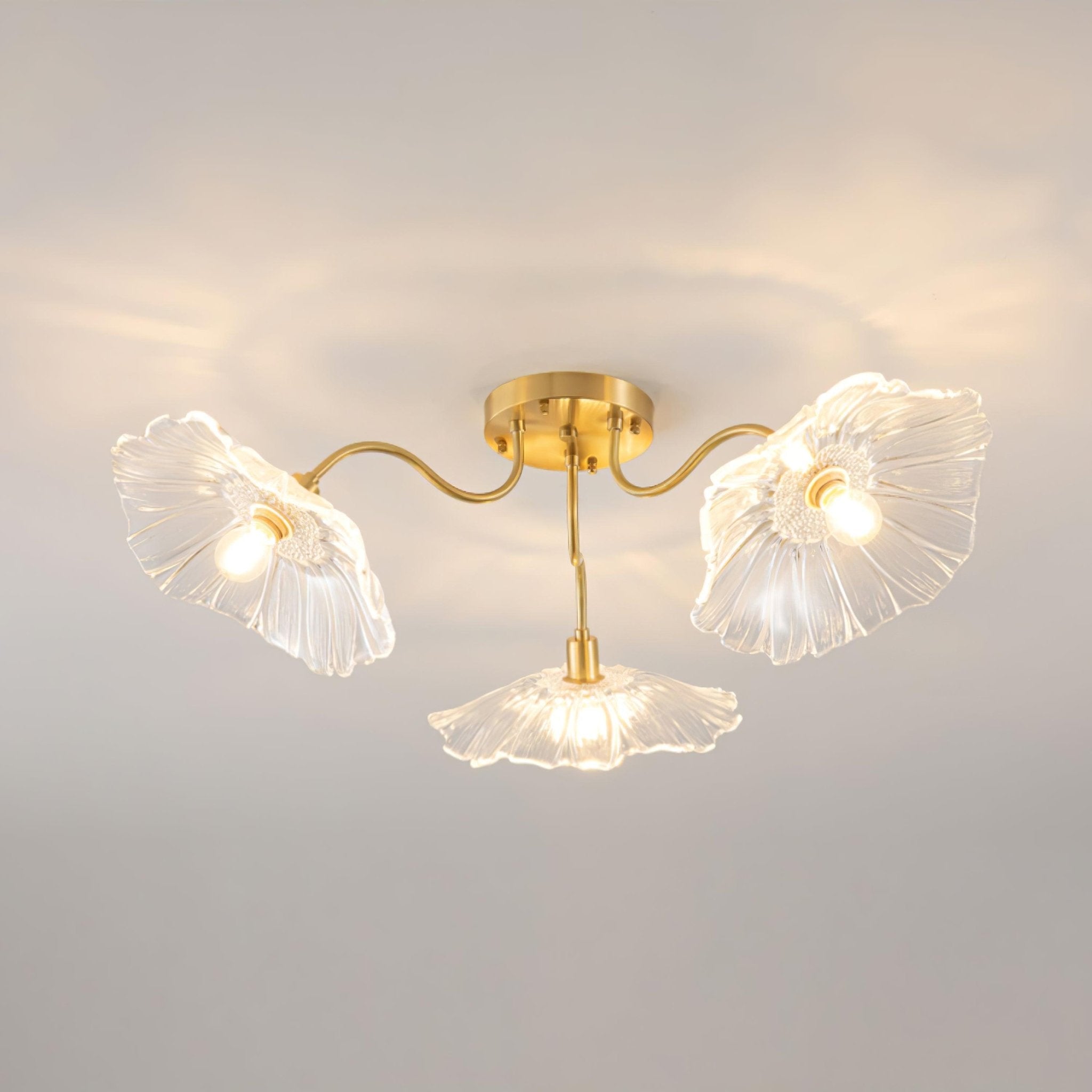 Ceiling Light | Decorative Ceiling Fixture