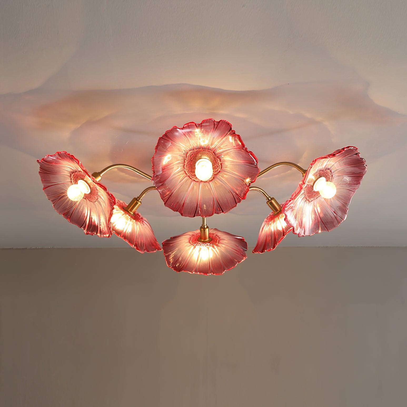 Ceiling Light | Decorative Ceiling Fixture