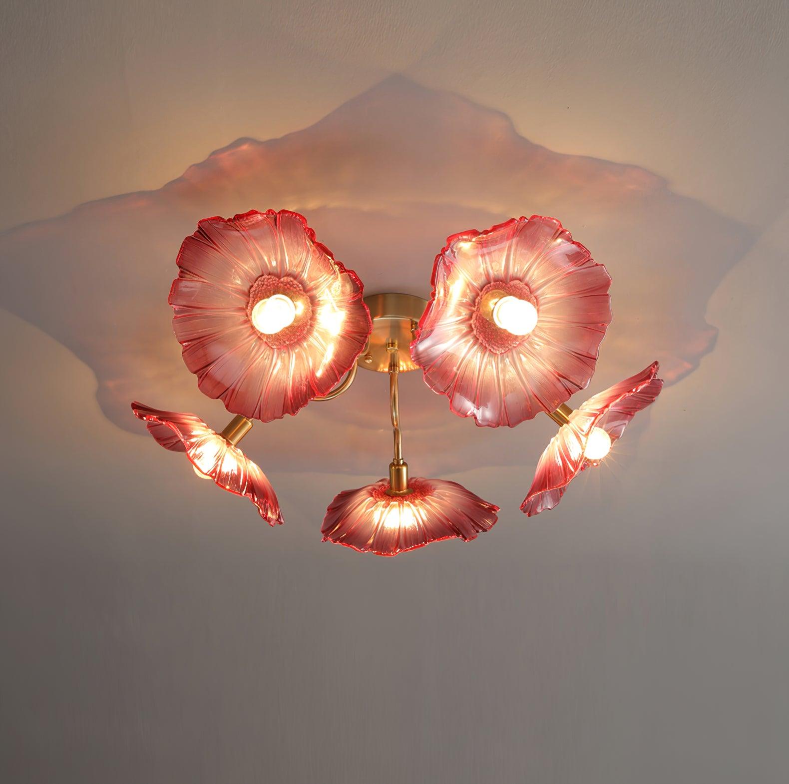 Ceiling Light | Decorative Ceiling Fixture