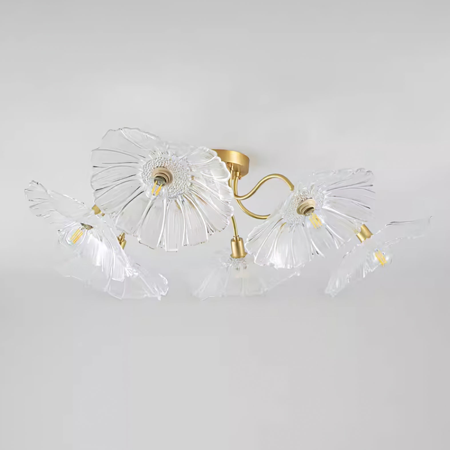 Ceiling Light | Decorative Ceiling Fixture
