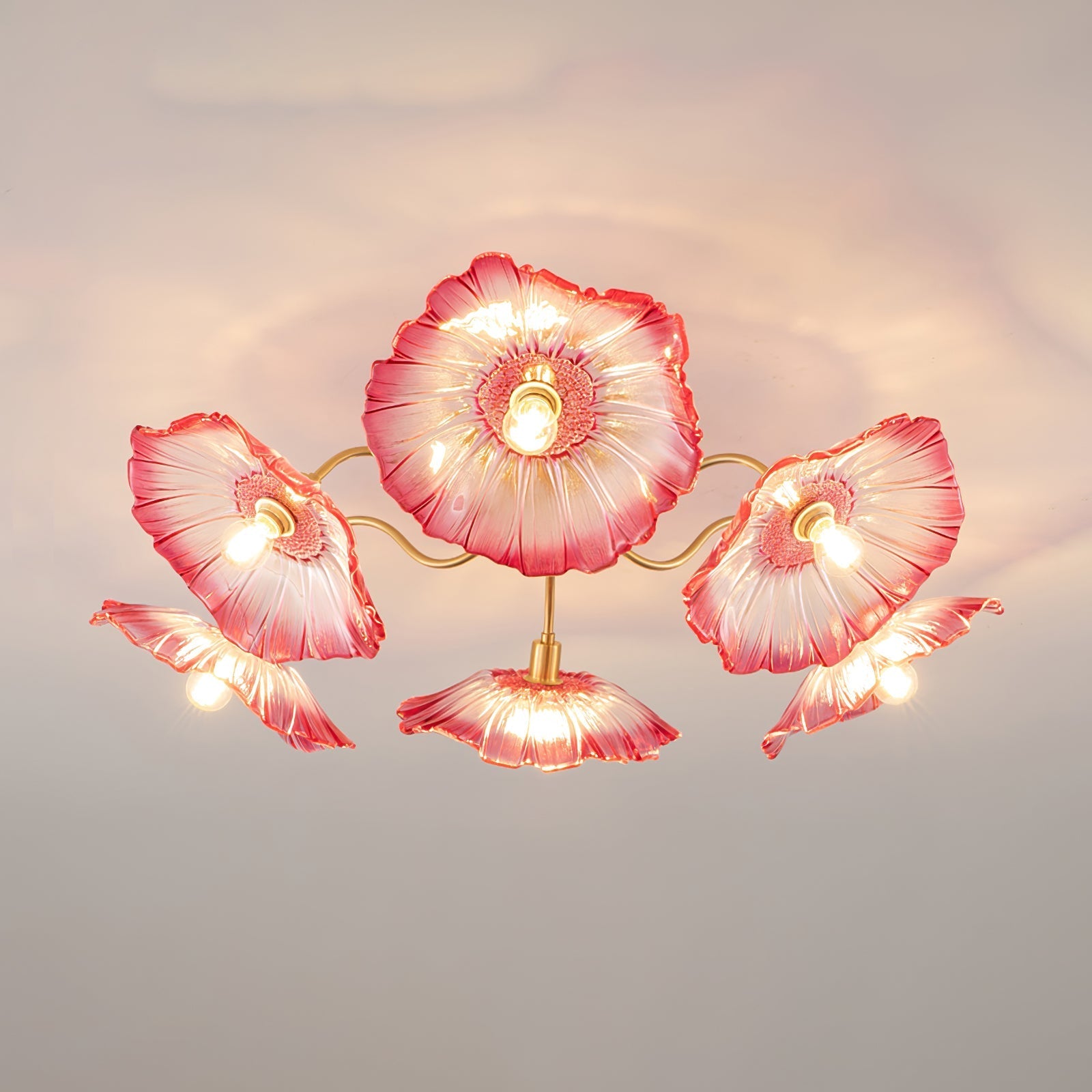 Ceiling Light | Decorative Ceiling Fixture