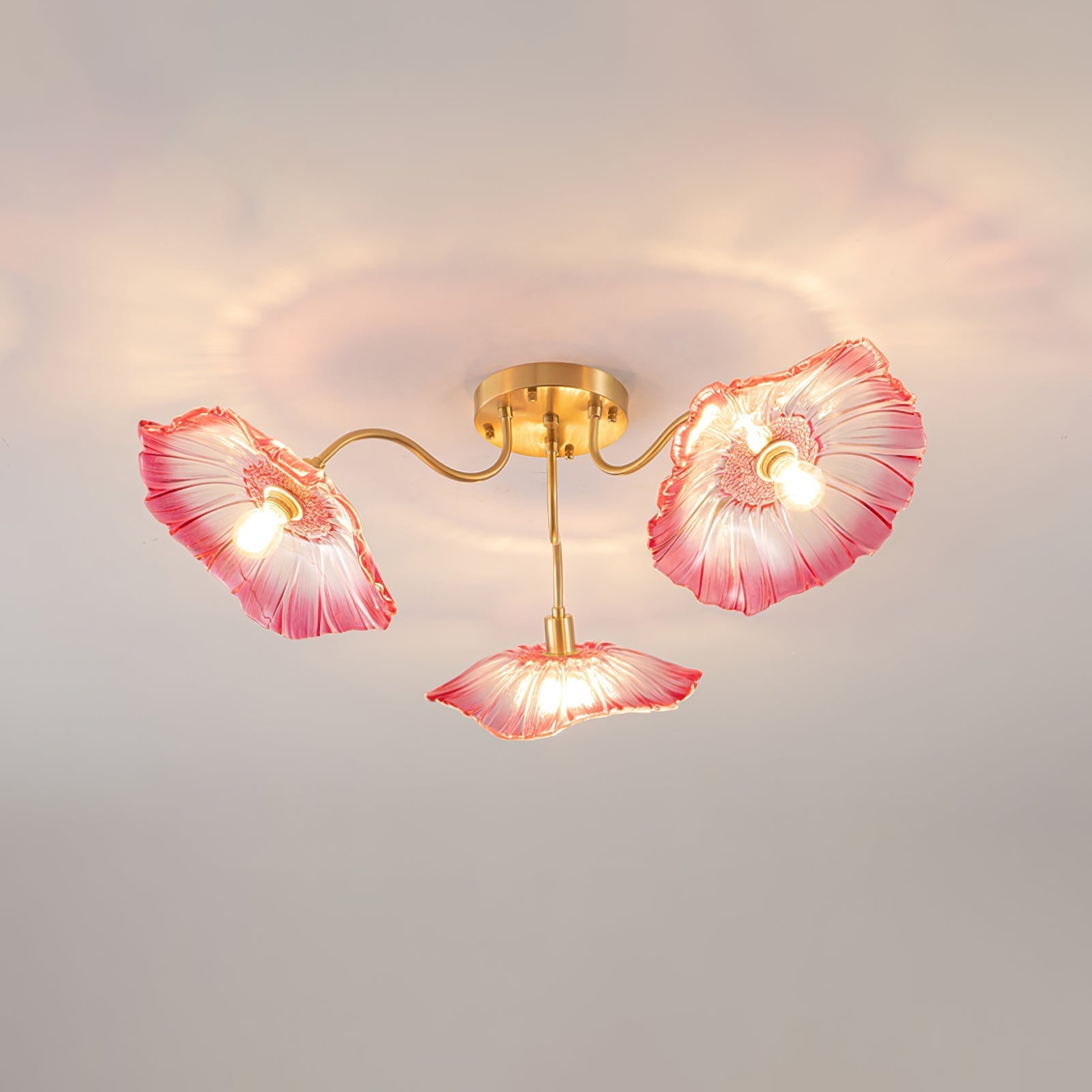 Ceiling Light | Decorative Ceiling Fixture