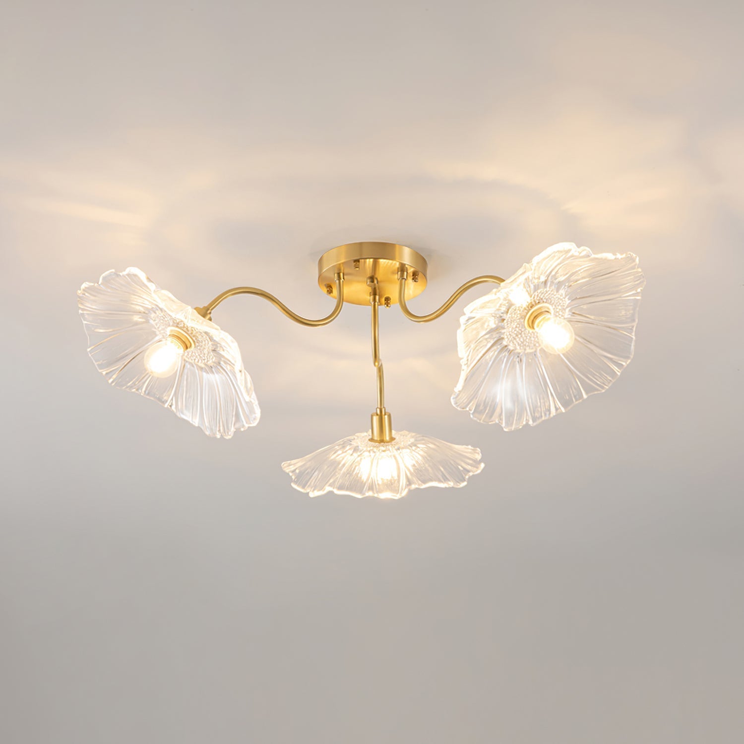 Ceiling Light | Decorative Ceiling Fixture