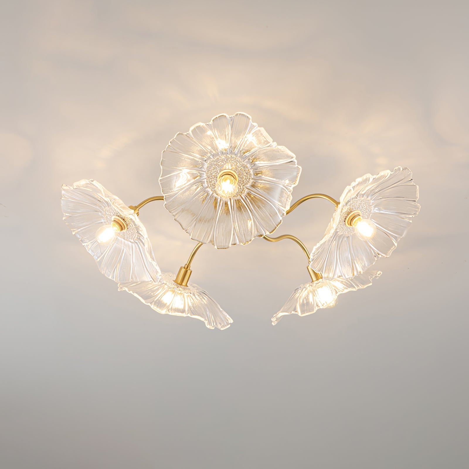 Ceiling Light | Decorative Ceiling Fixture