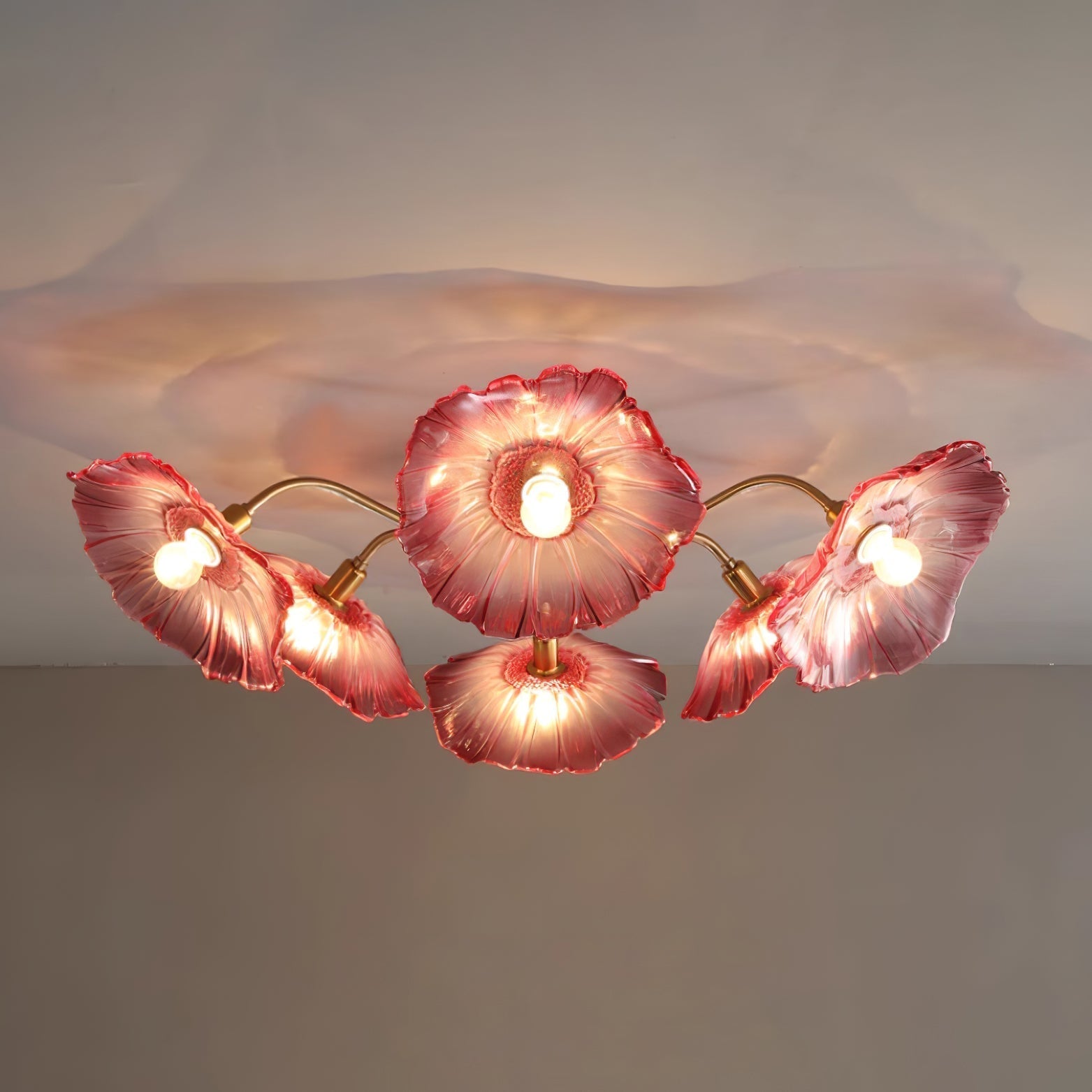 Ceiling Light | Decorative Ceiling Fixture