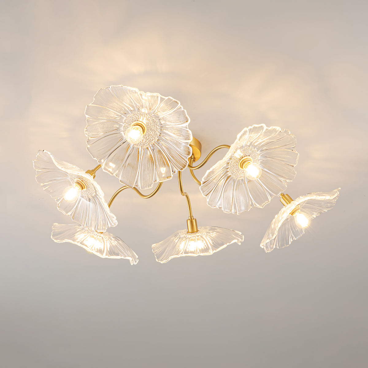 Ceiling Light | Decorative Ceiling Fixture