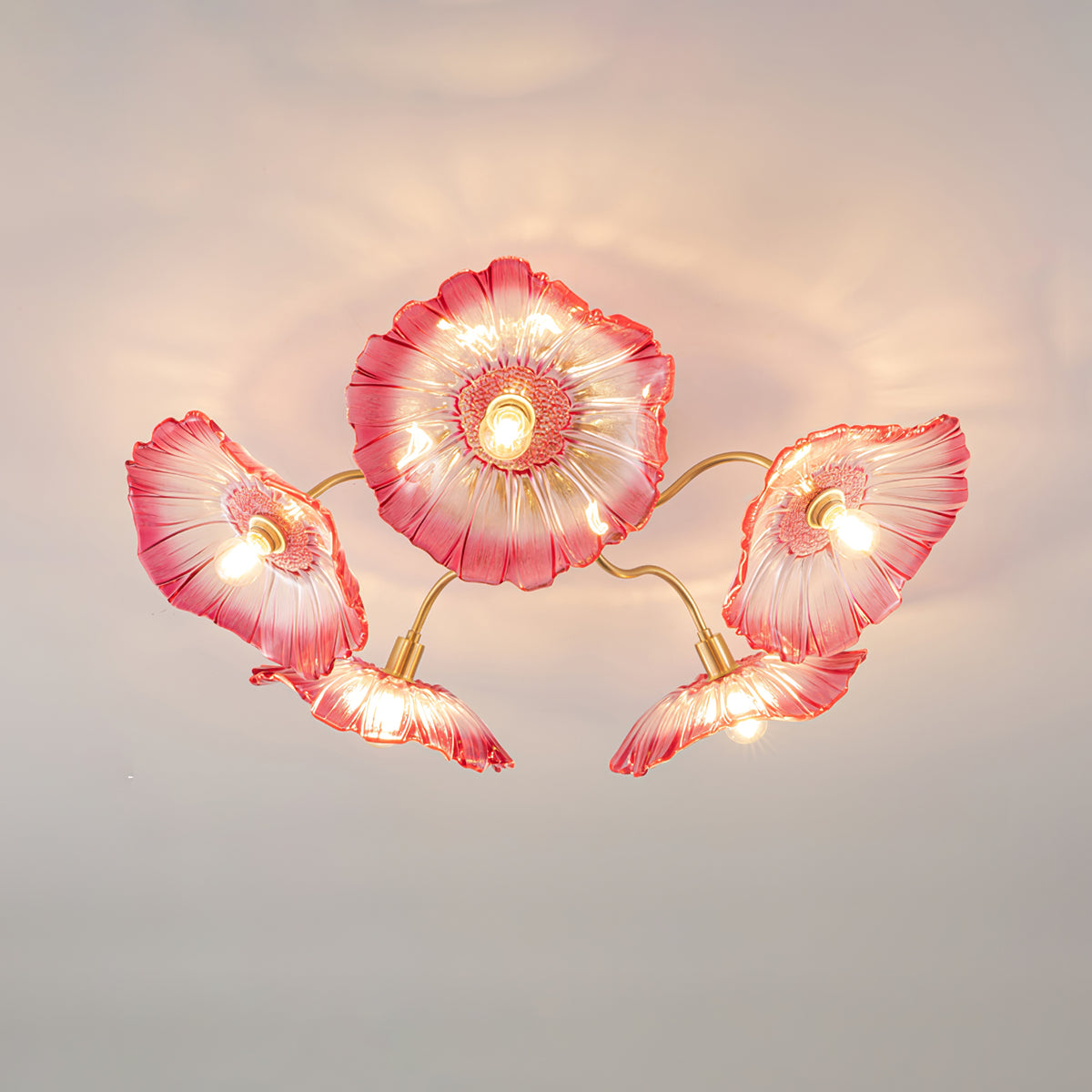 Ceiling Light | Decorative Ceiling Fixture