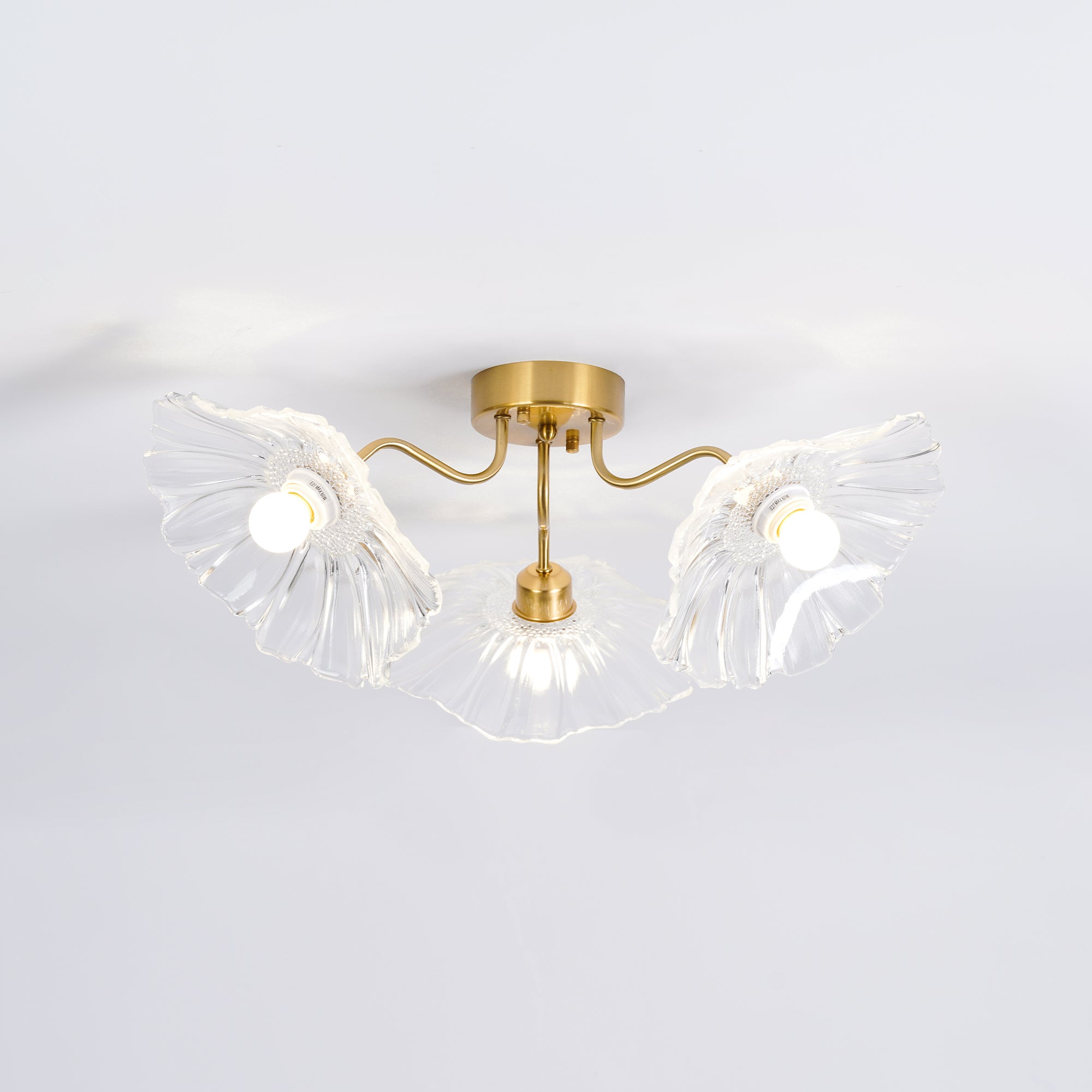 Ceiling Light | Decorative Ceiling Fixture