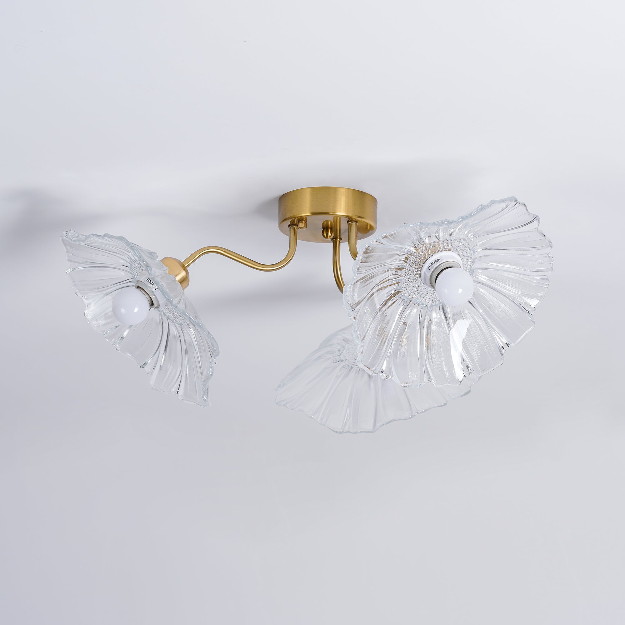 Ceiling Light | Decorative Ceiling Fixture