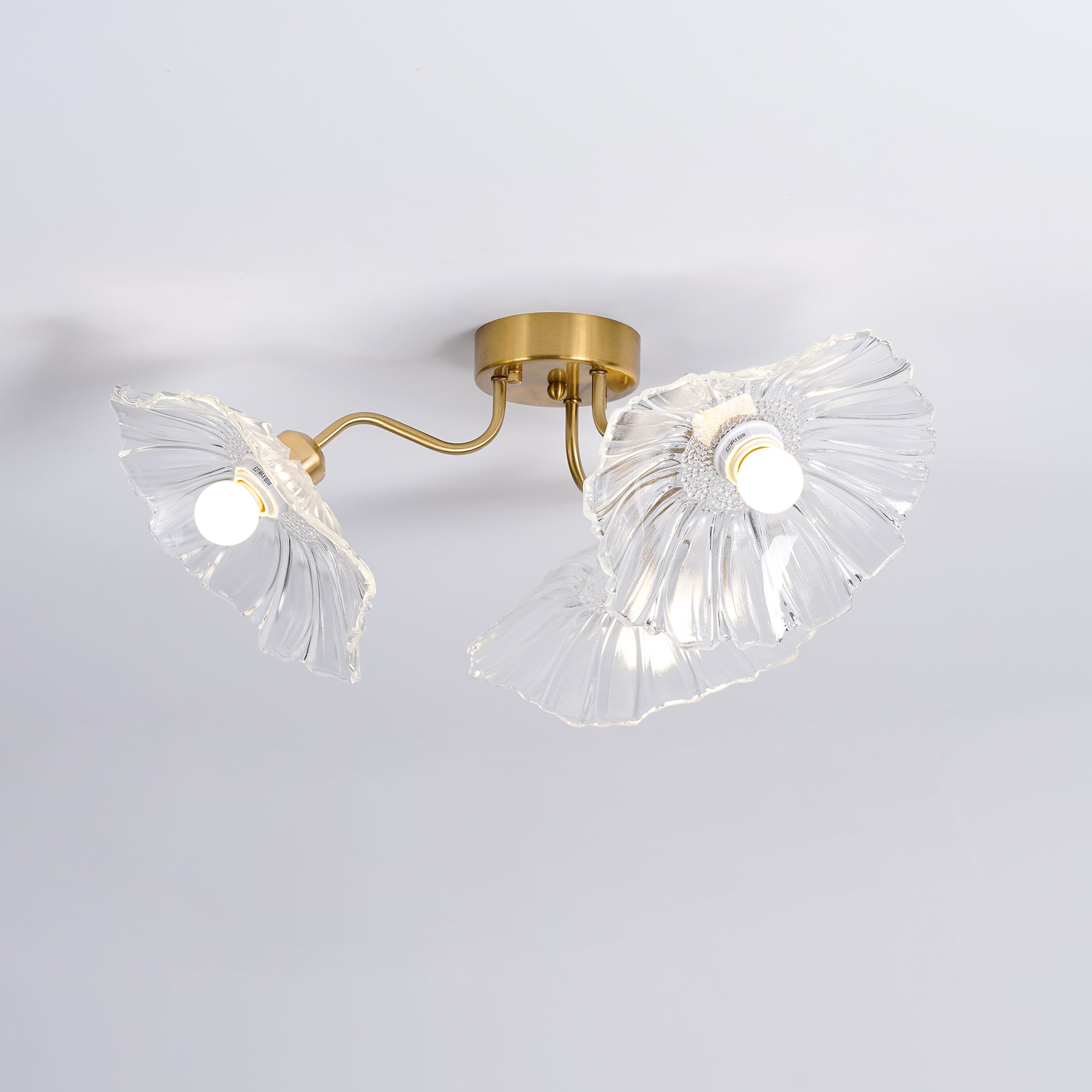Ceiling Light | Decorative Ceiling Fixture