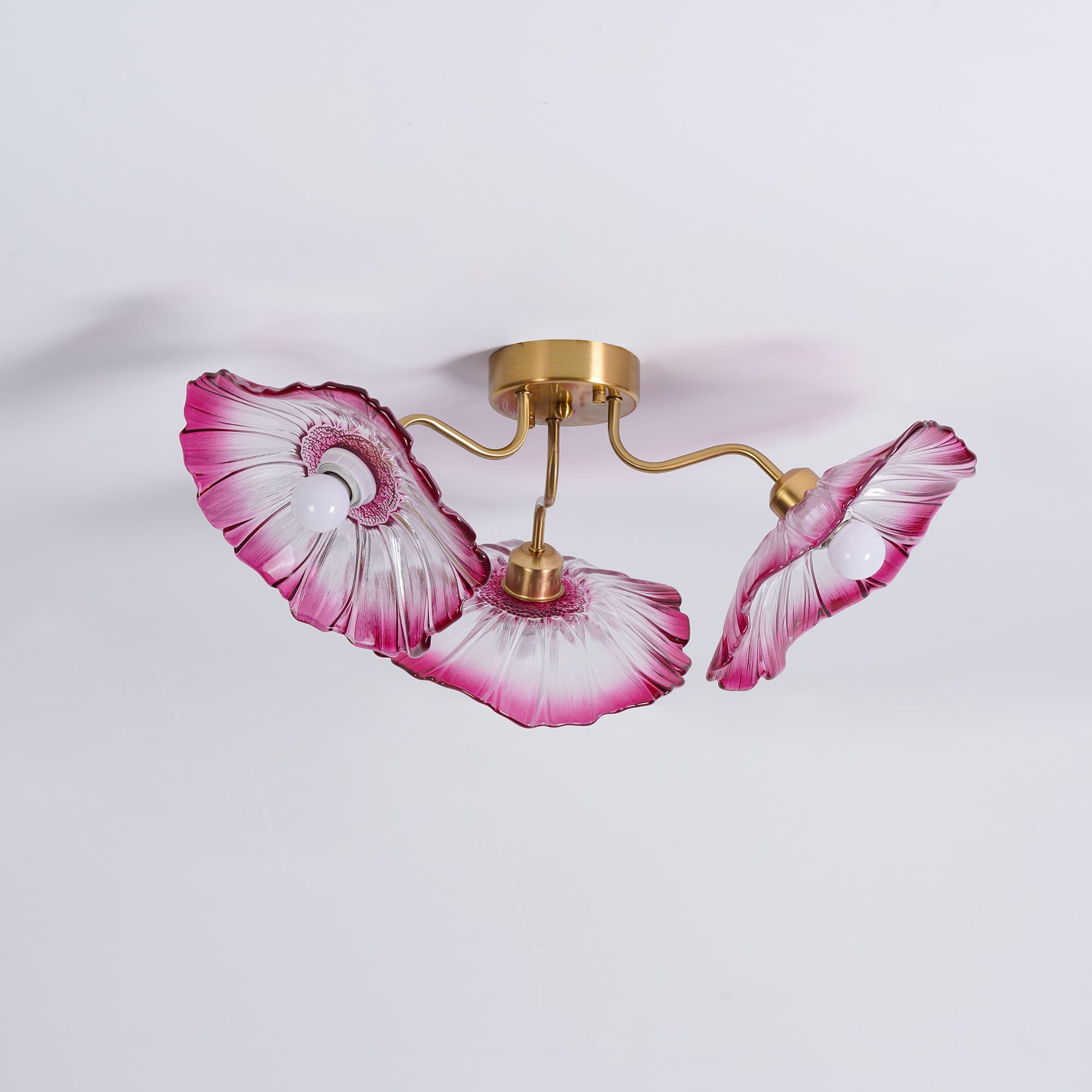 Ceiling Light | Decorative Ceiling Fixture