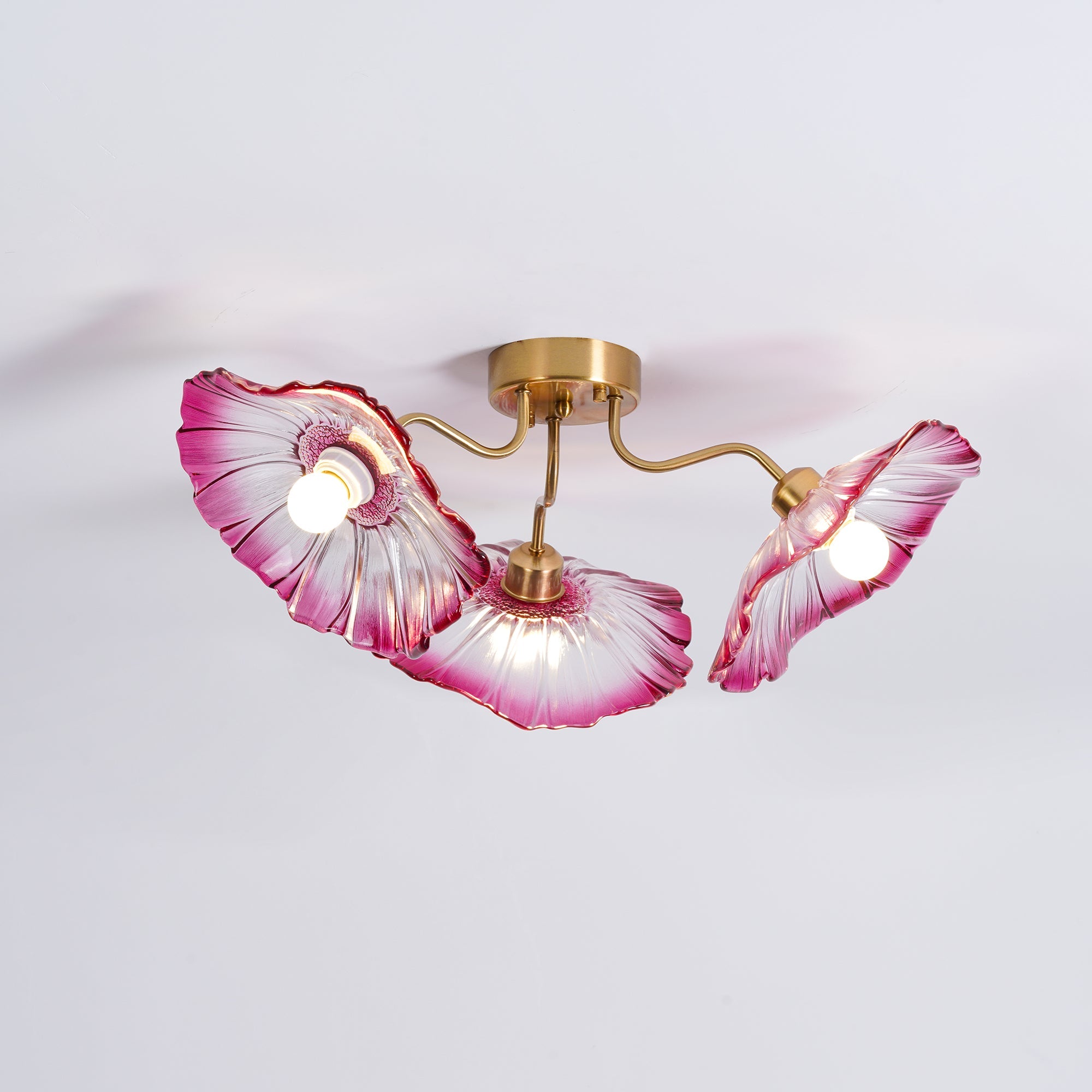 Ceiling Light | Decorative Ceiling Fixture