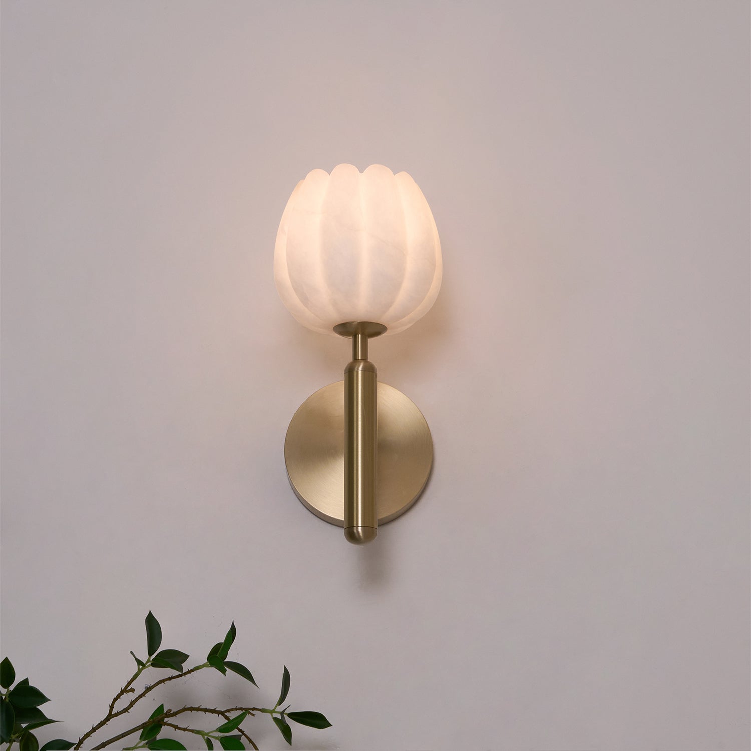 Wall Light Decorative | Brass and Alabaster Fixture