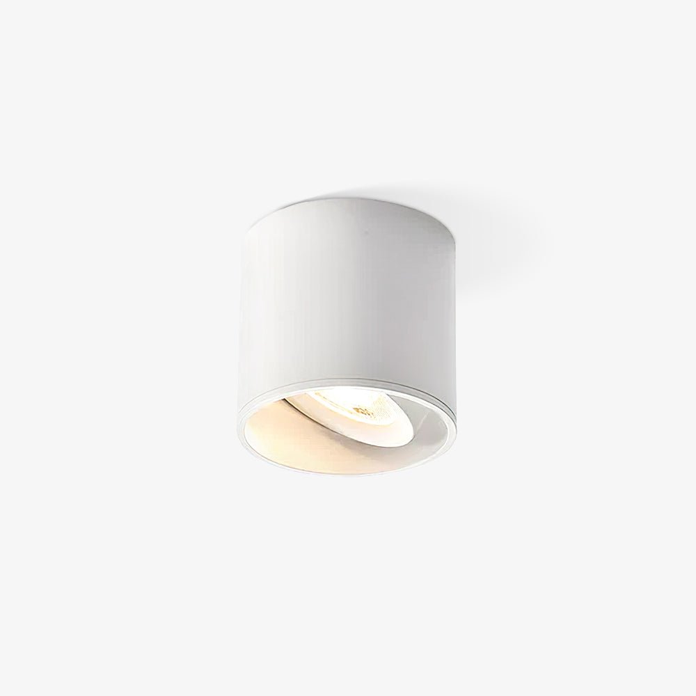 Ceiling Light | Cylinder Surface Fixture