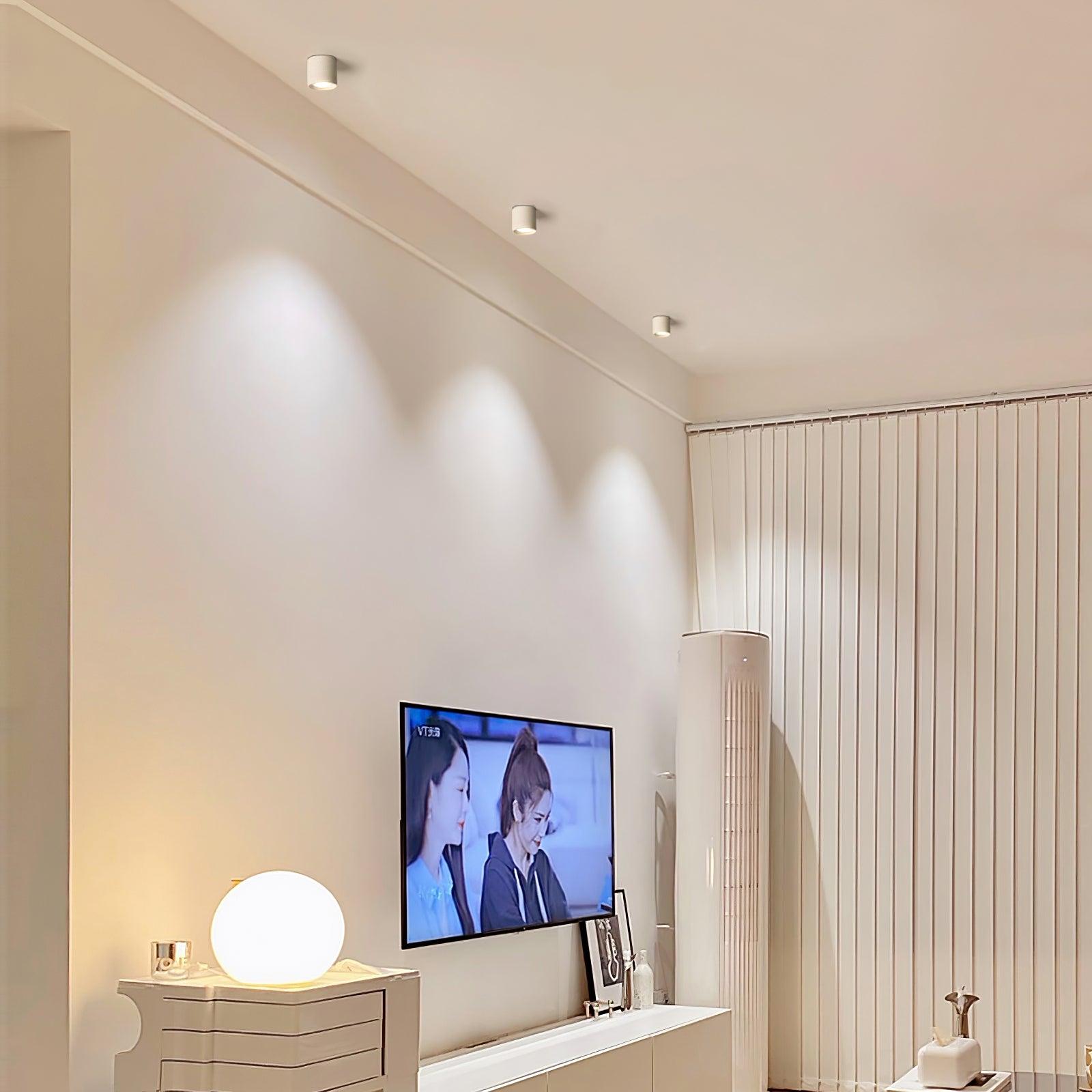 Ceiling Light | Cylinder Surface Fixture