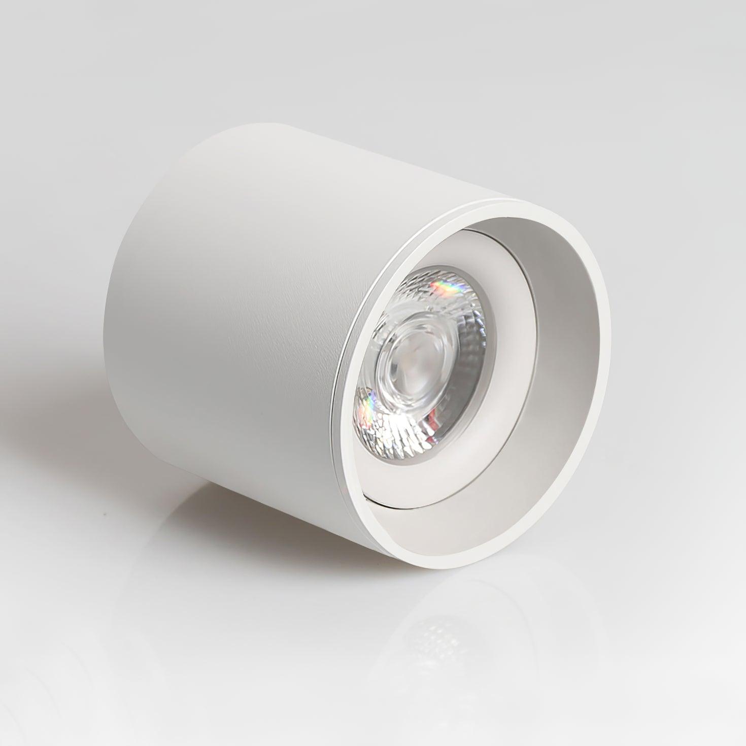 Ceiling Light | Cylinder Surface Fixture