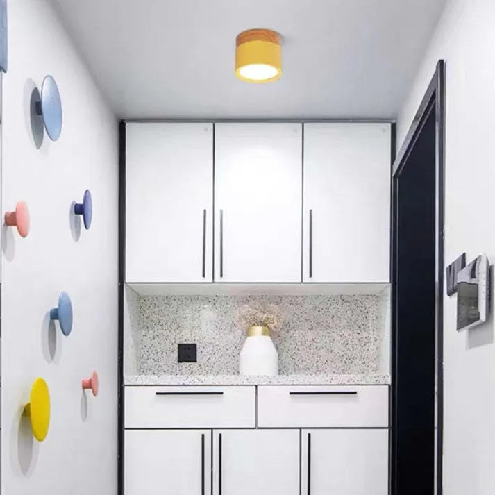 Hallway LED Ceiling Lights | Flush Mount Cylindrical Fixture