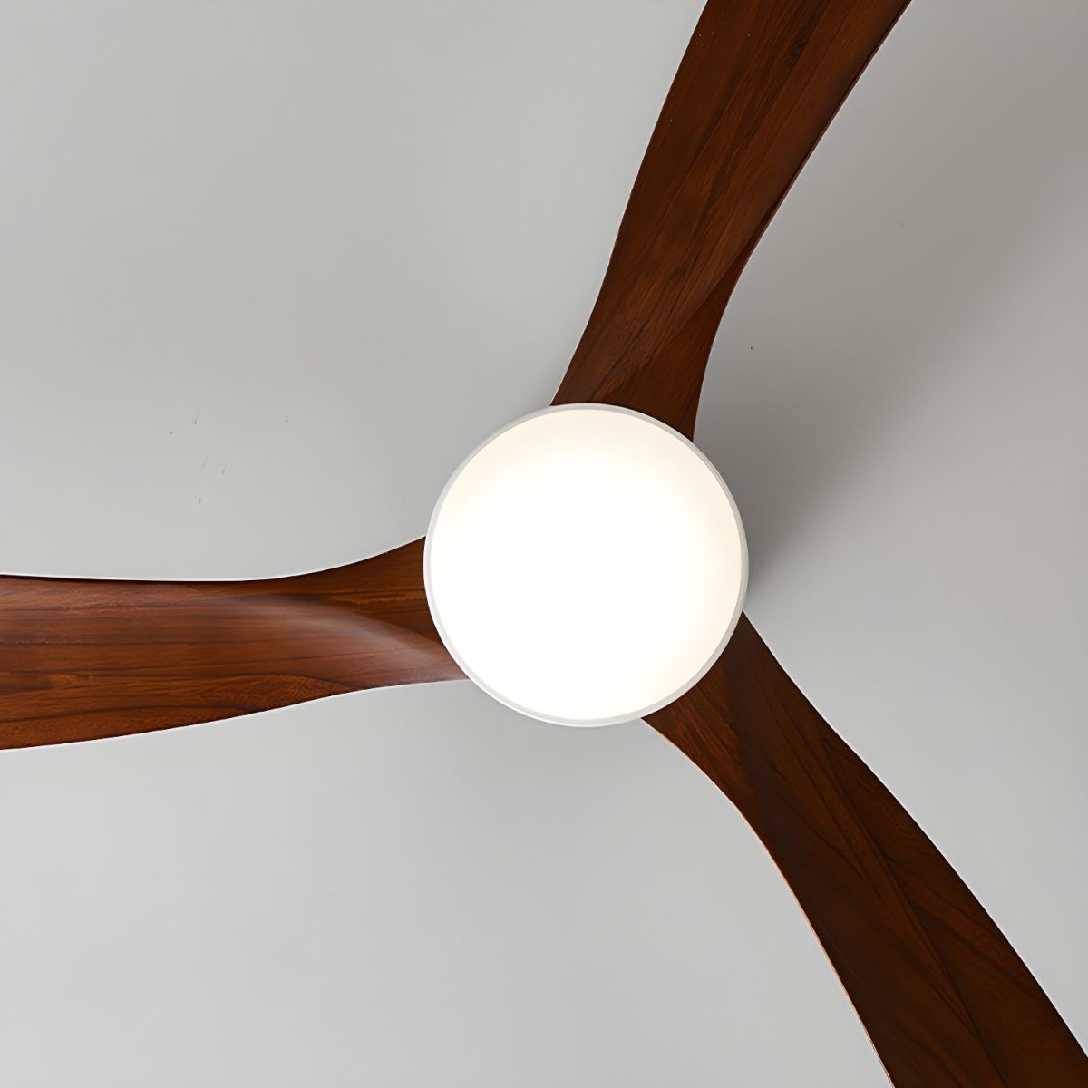 Ceiling Fan with LED Light | Remote Control Fixture