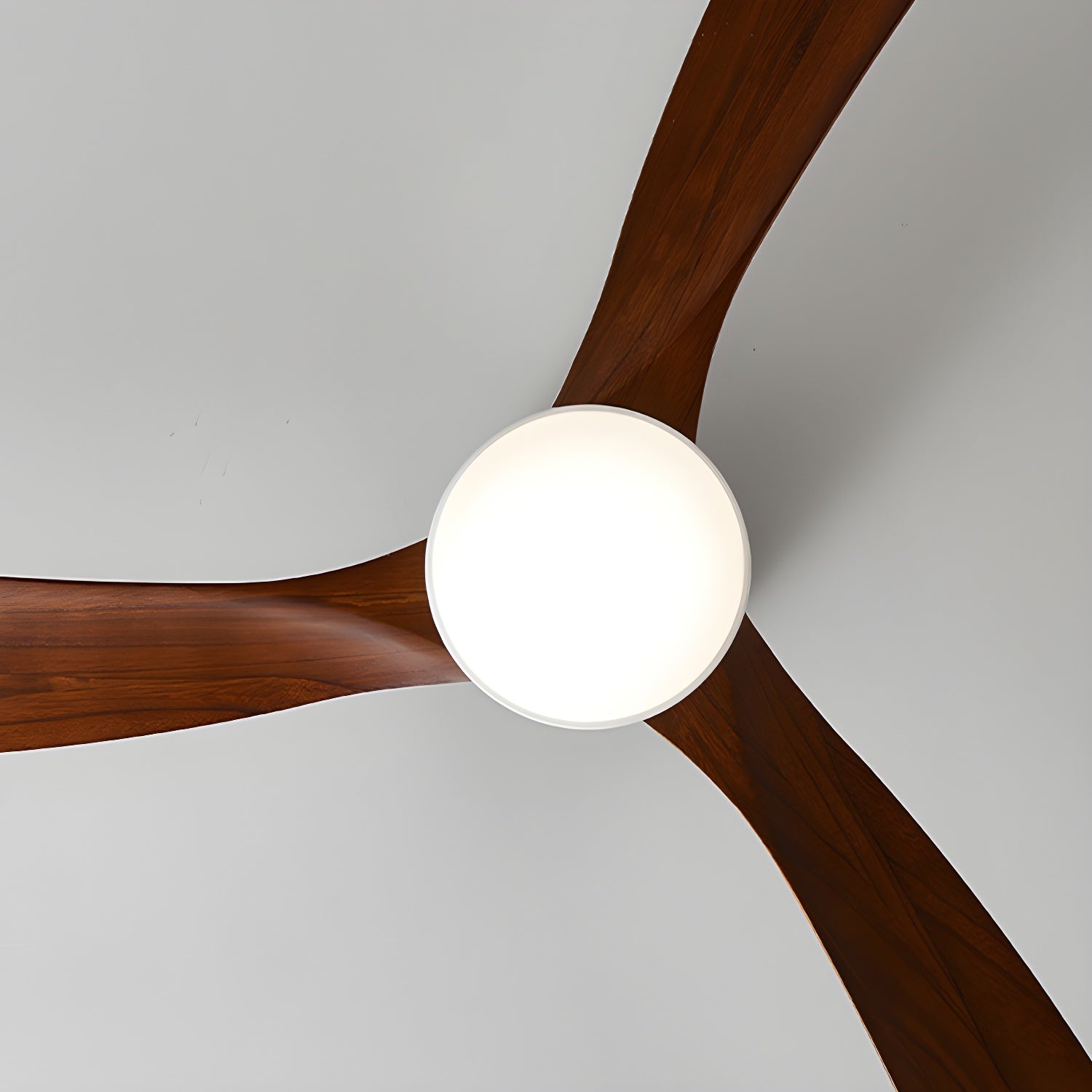 Ceiling Fan with LED Light | Remote Control Fixture