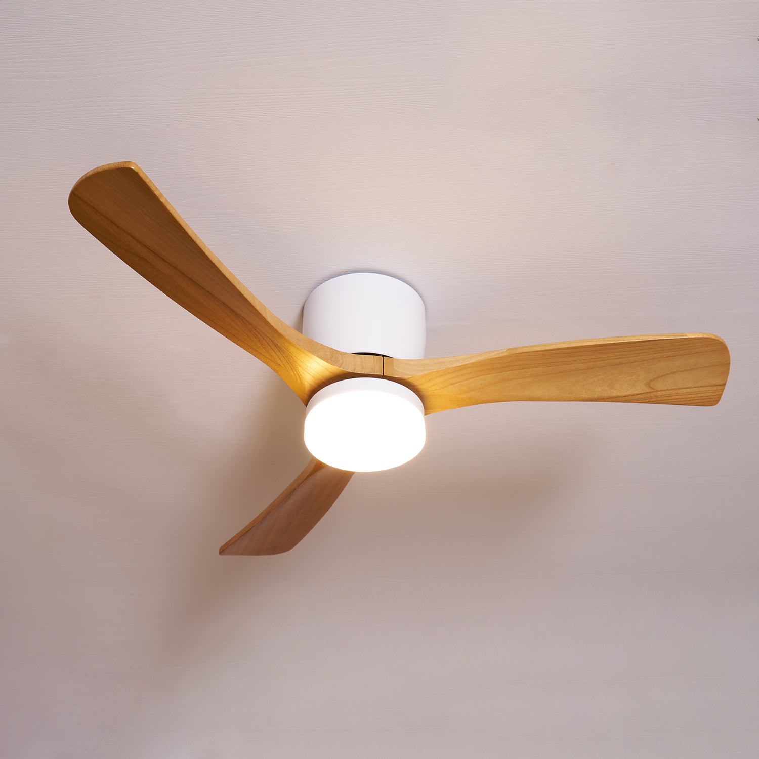 Ceiling Fan with LED Light | Remote Control Fixture