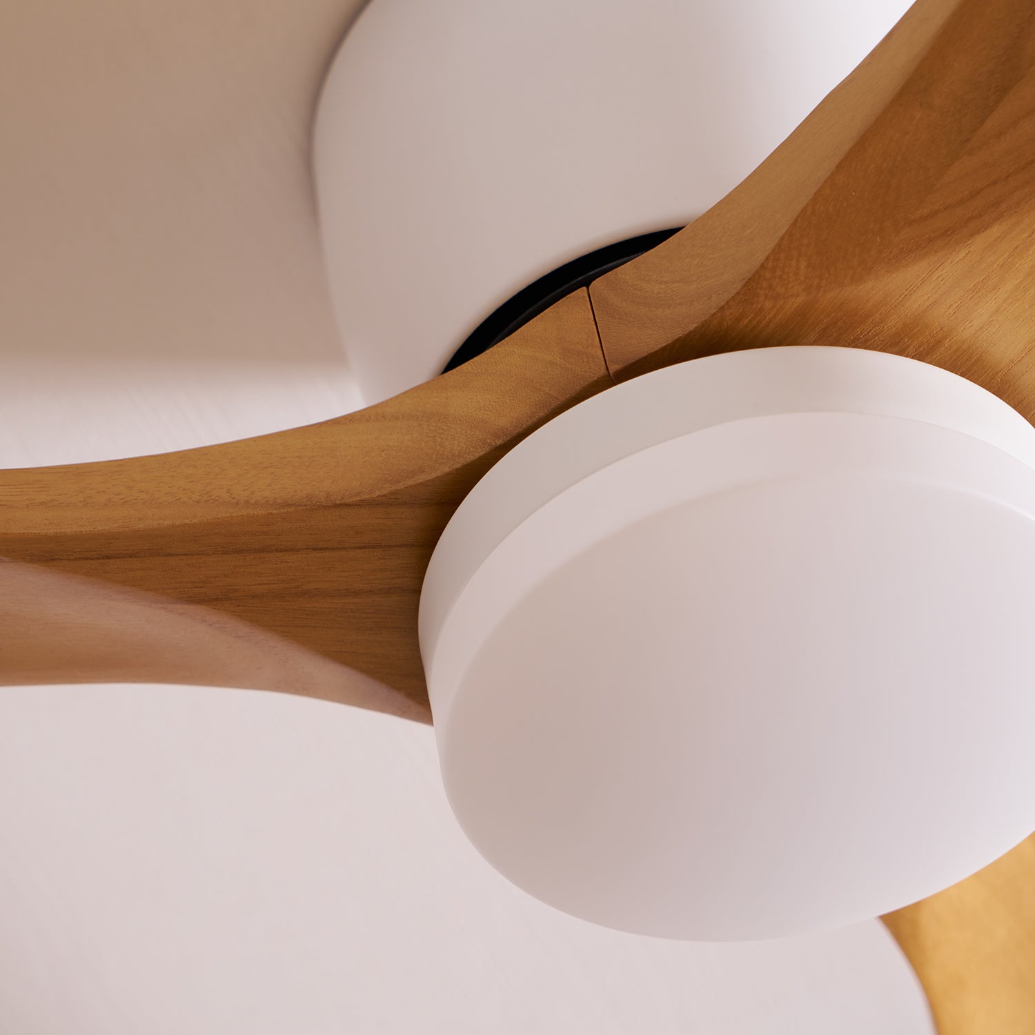 Ceiling Fan with LED Light | Remote Control Fixture