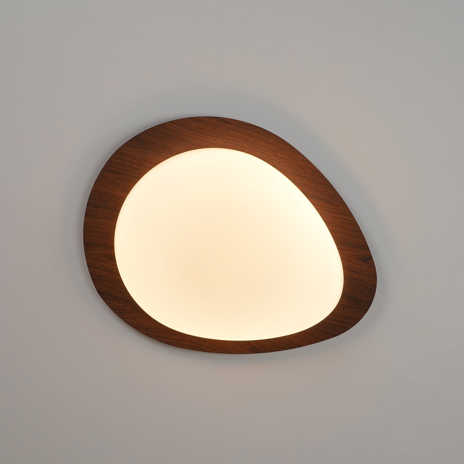 Ceiling Light | Oval Ceiling Fixture