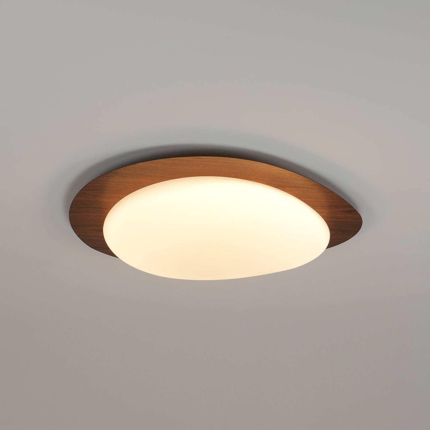 Ceiling Light | Oval Ceiling Fixture
